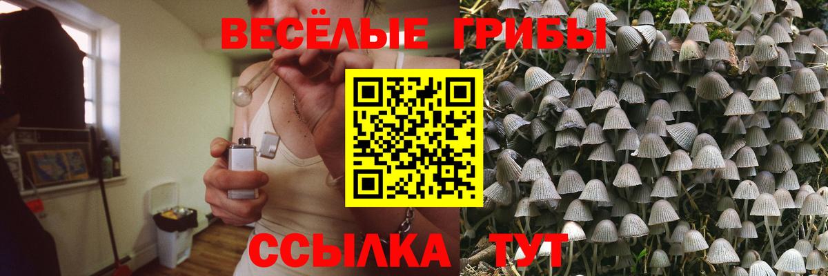 купить  цена  Вход с VPN  Набережные Челны  Псилоцибиновые грибы Psilocybe  Галлюциногенные грибы ЛСД 